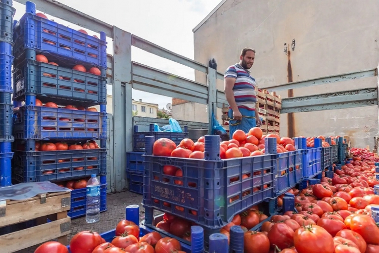 Минсельхоз распределил квоту на беспошлинный импорт томатов